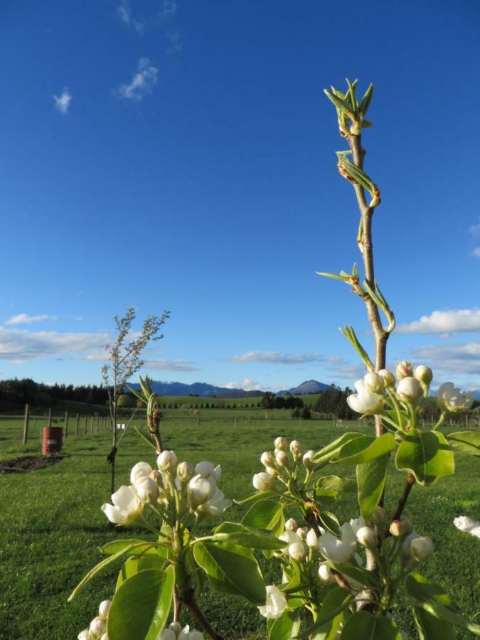 Quiet Studio In Paradise Wanaka Exterior photo